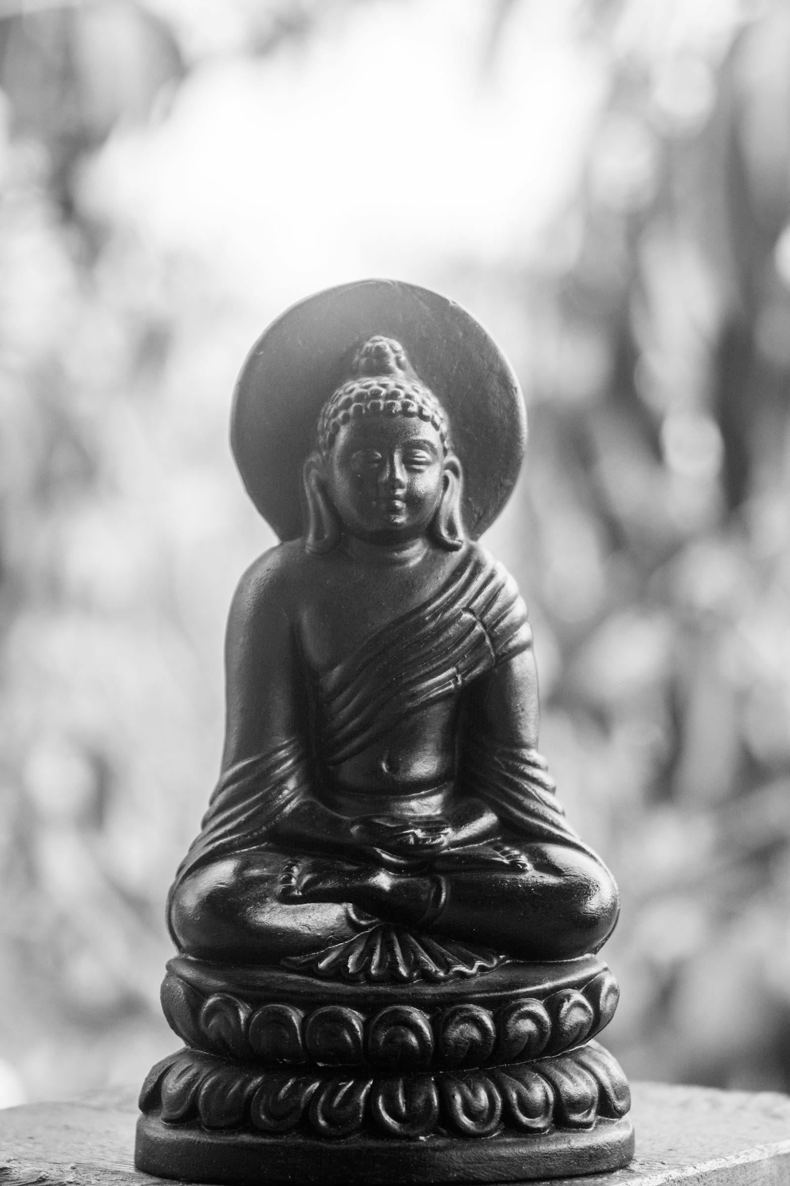Černobílý snimek Buddhovy sochy v meditaci